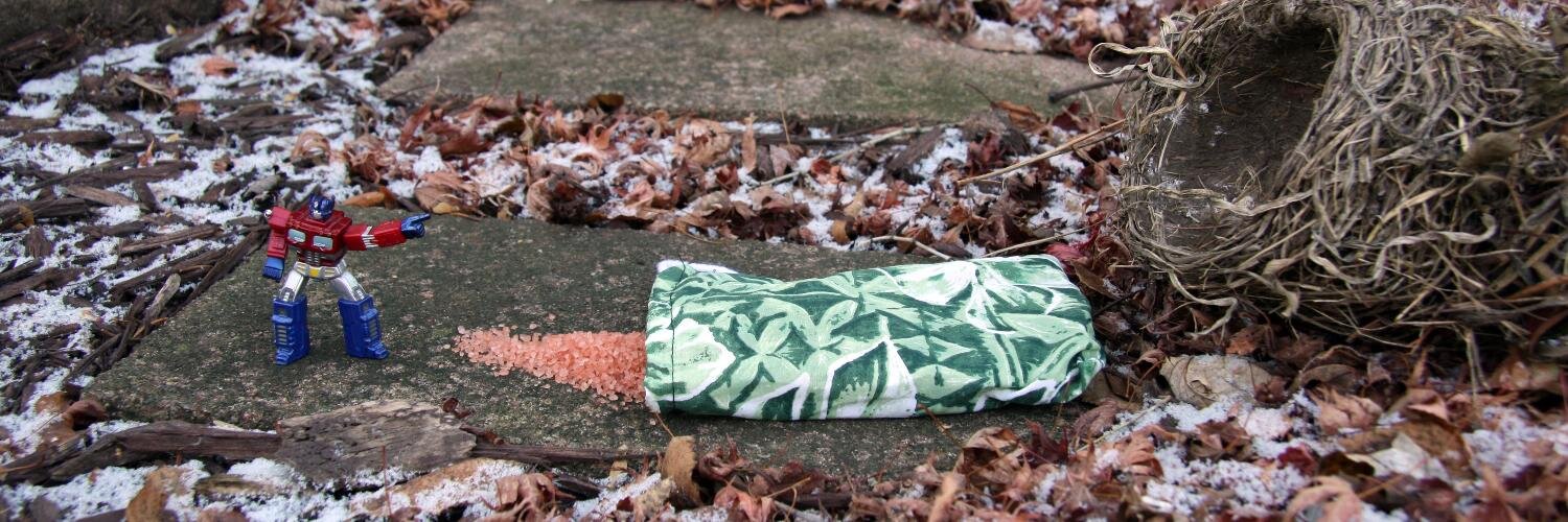 Frances Kai-Hwa Wang banner