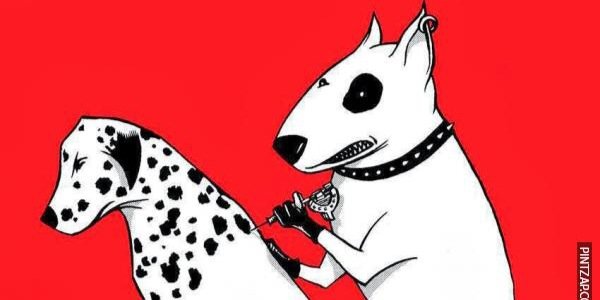 MDixon10's profile banner image
