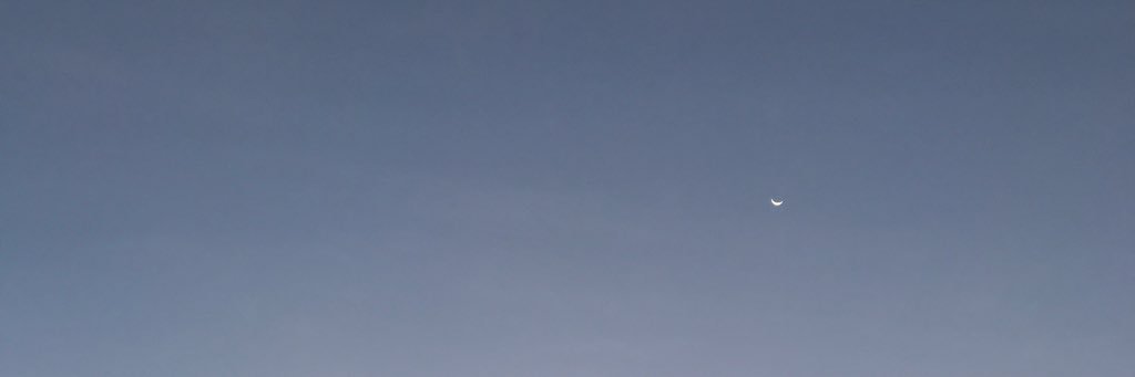 cingham534's profile banner image