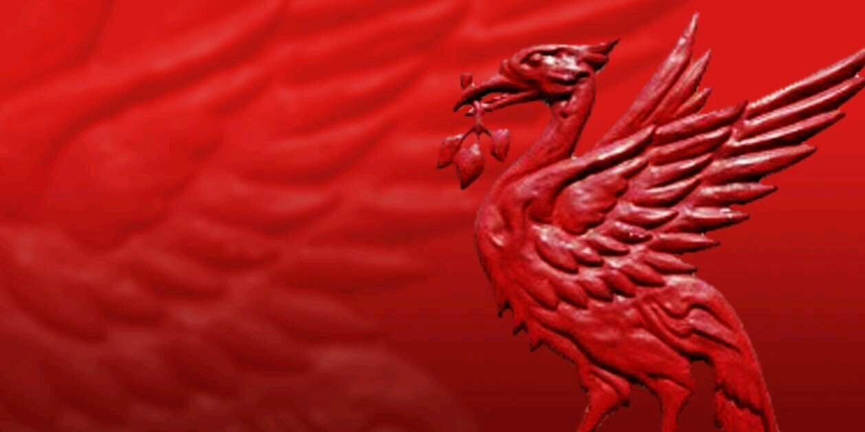 Rizec's profile banner image