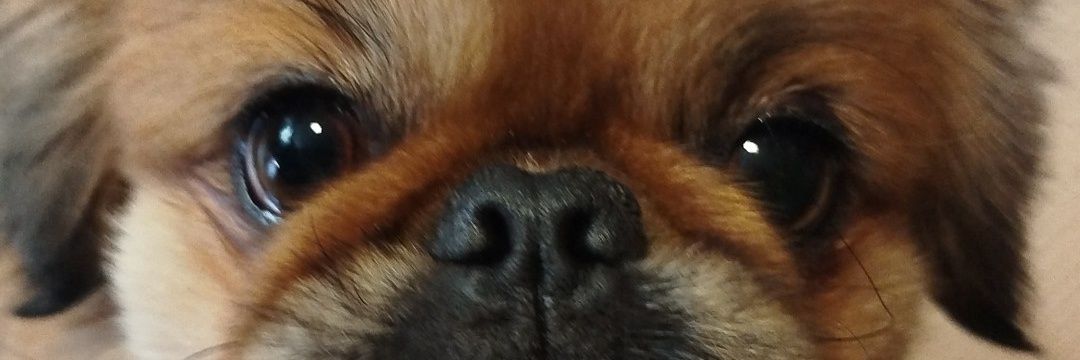 eduvain's profile banner image
