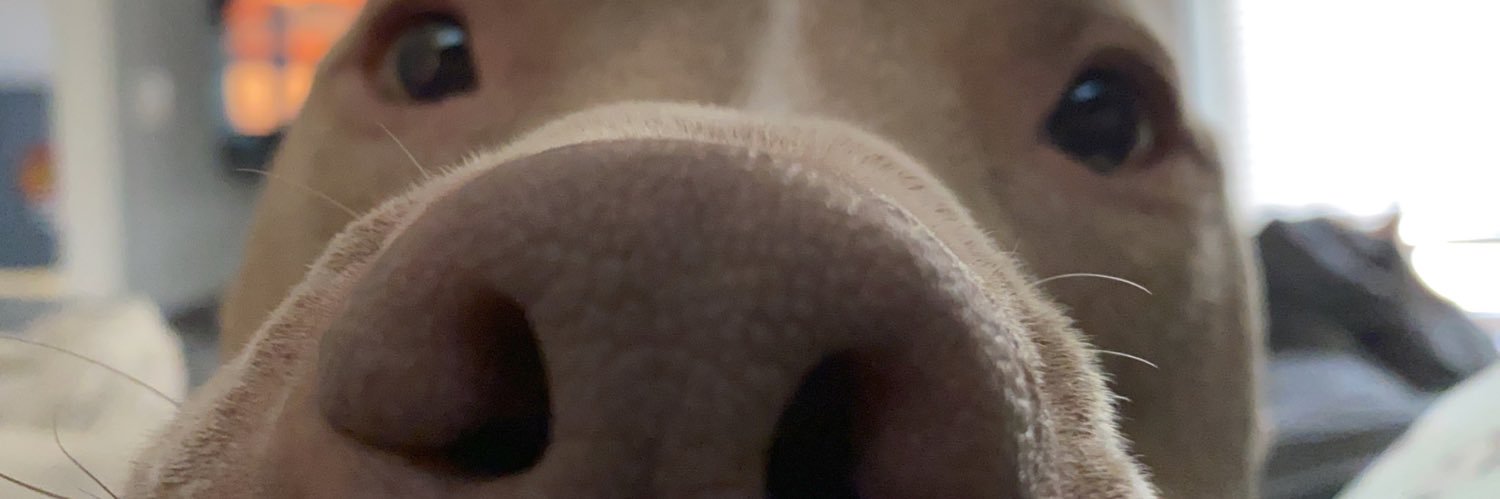 brooke_hite's profile banner image