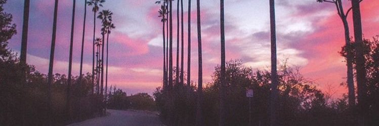 TheSassyS_'s profile banner image
