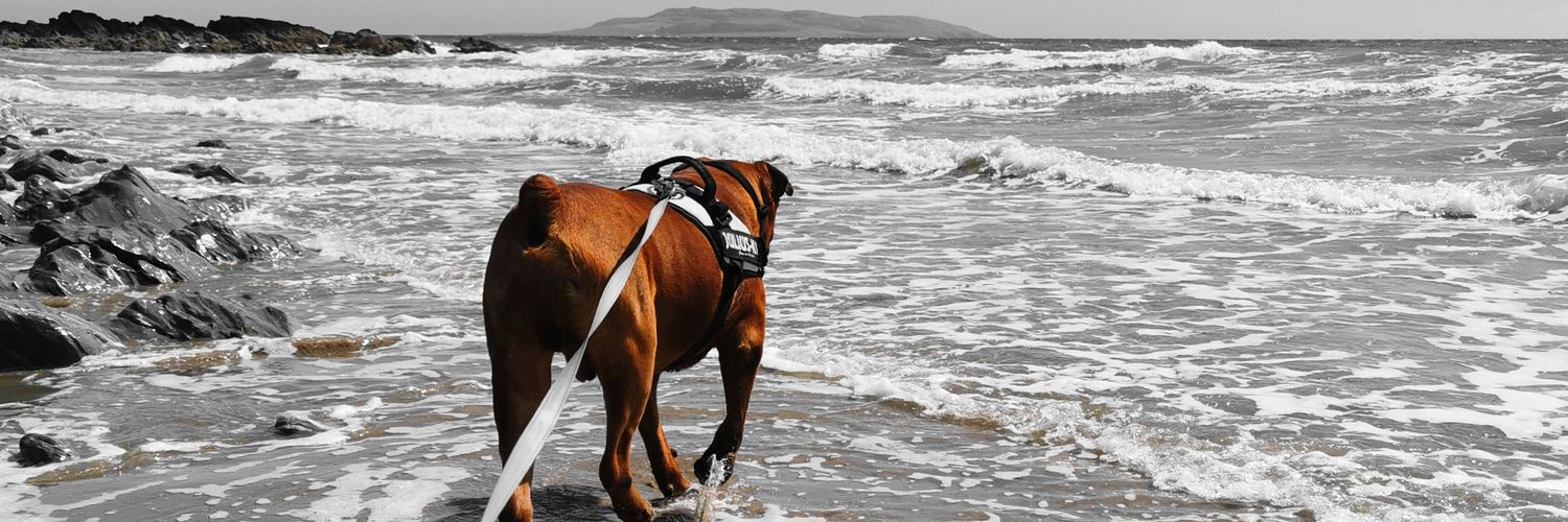 loldoyle21's profile banner image