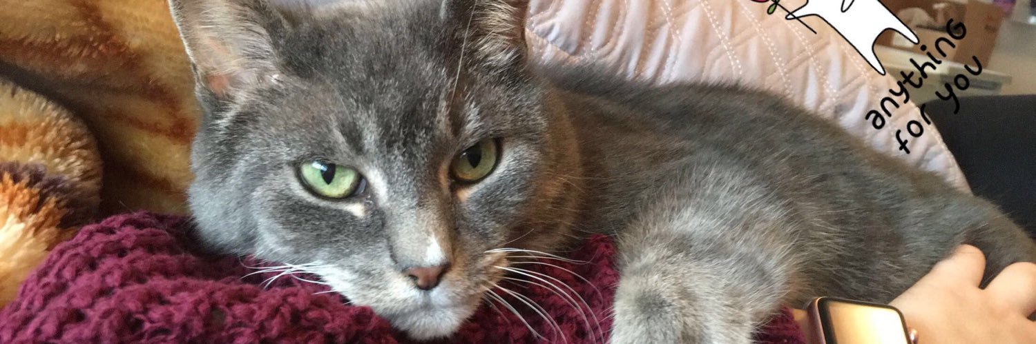 RenaePadgett's profile banner image