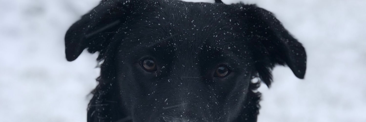 Chief_NISH's profile banner image