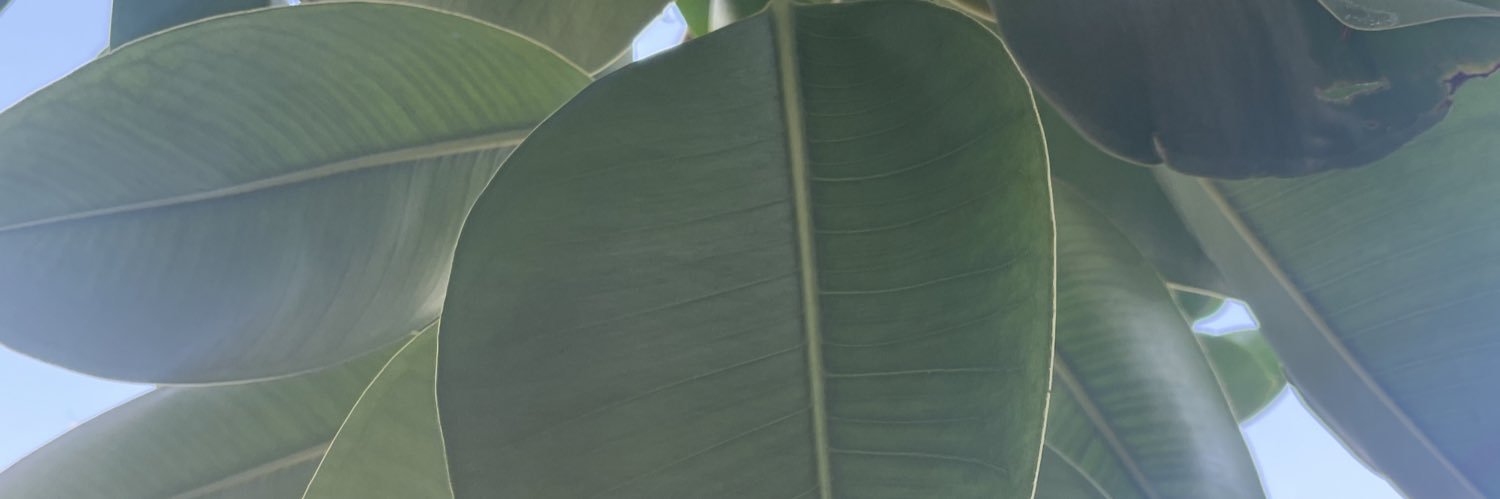 EricManfredi's profile banner image