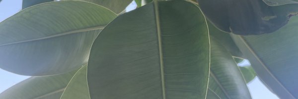 EricManfredi Profile Banner