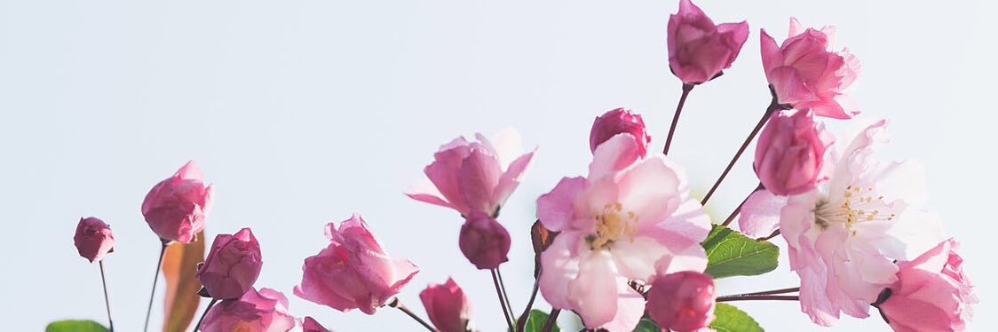 ohmich23's profile banner image