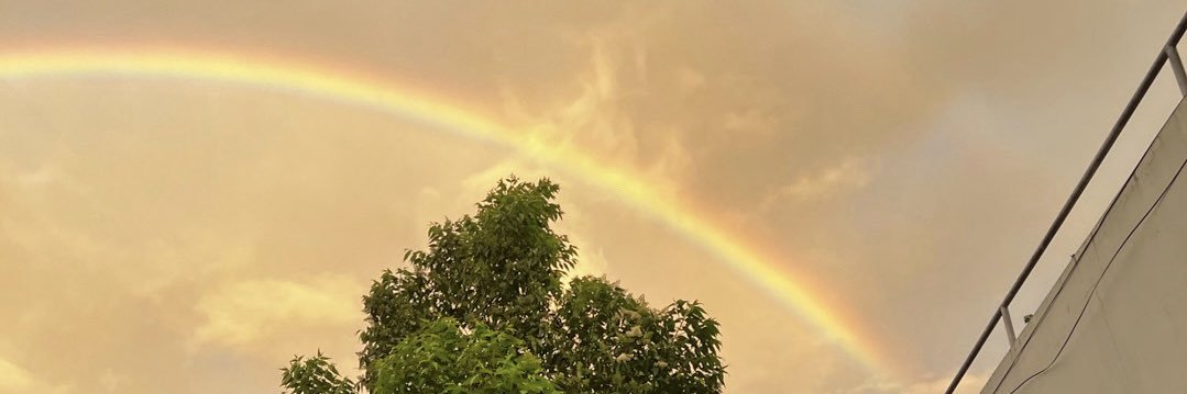 🦁 banner