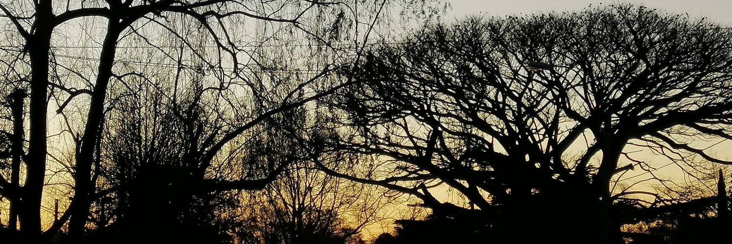 Ines_XY's profile banner image
