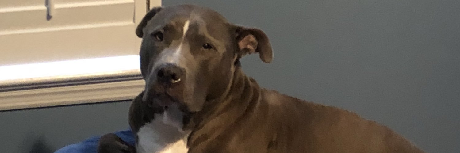 jymcollins's profile banner image