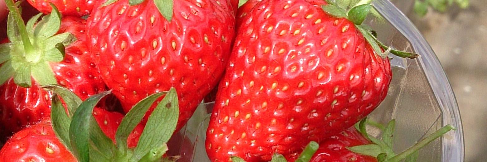 gi_su_gi_su's profile banner image