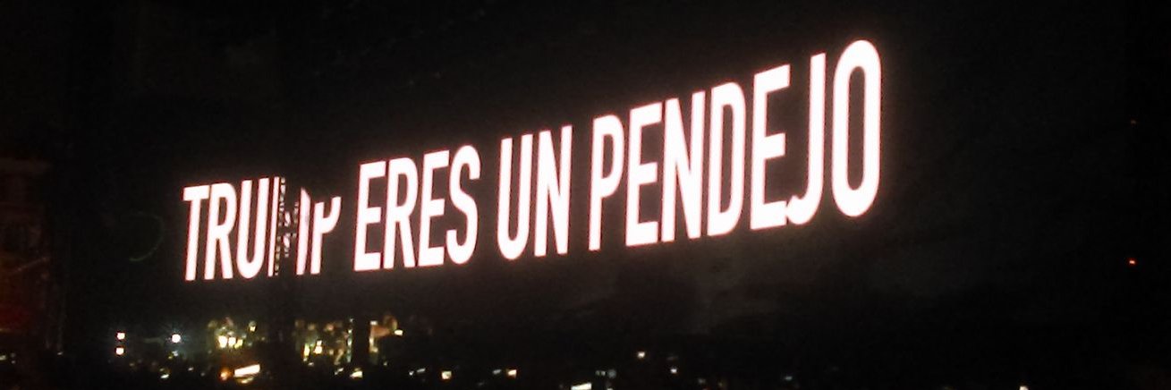 Alejandra Waters banner