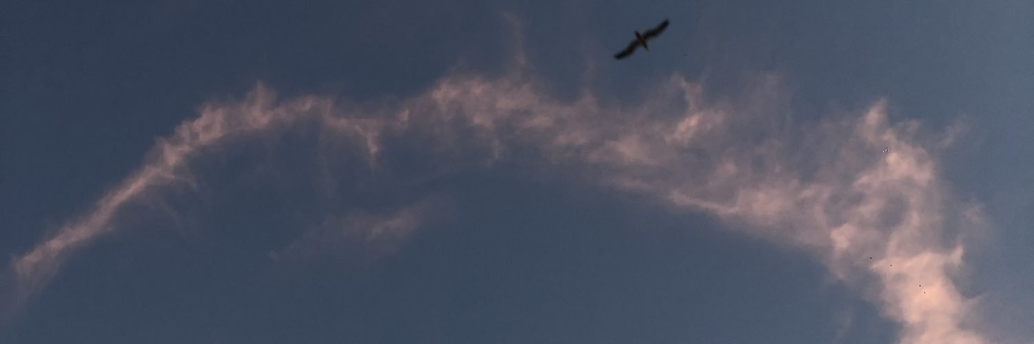caiioles's profile banner image