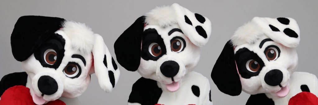 TrustySpotty's profile banner image