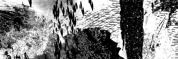 the Native Cats banner