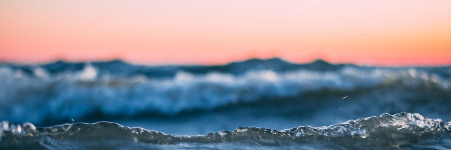 RobertaLantyer's profile banner image