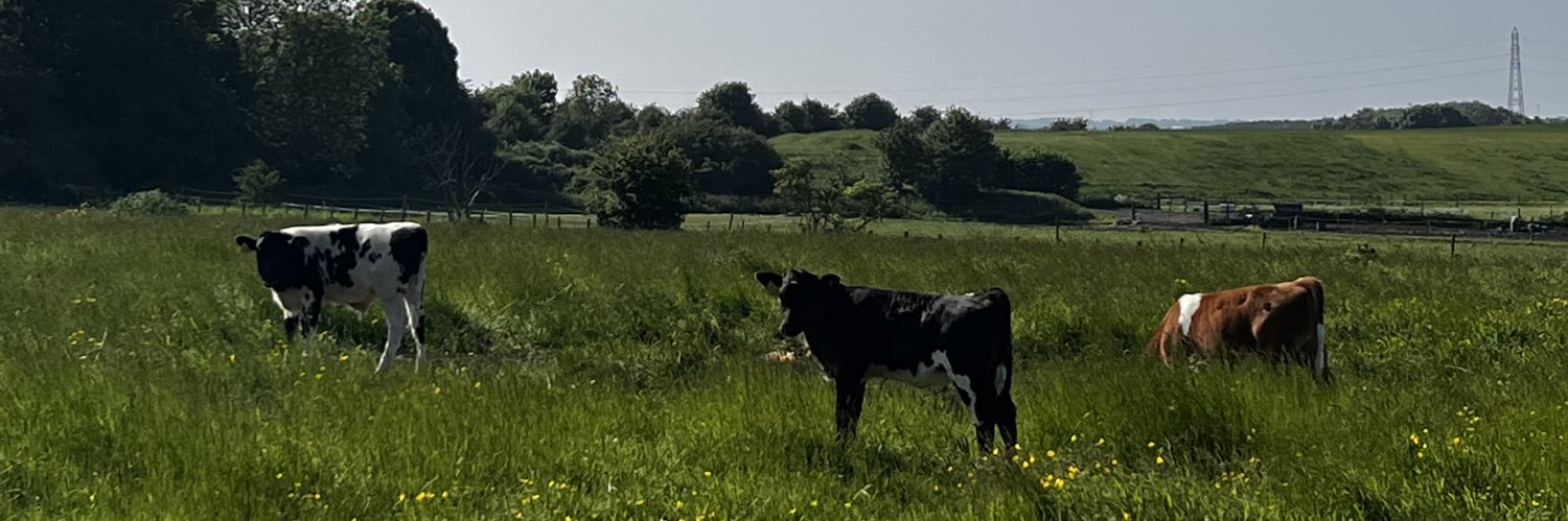 Matthew Cochrane banner