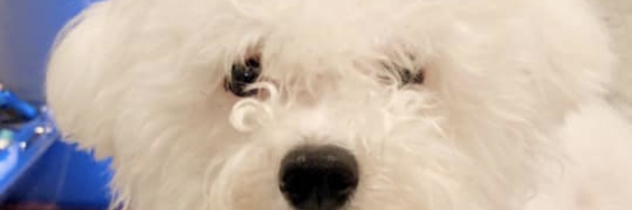 urmommmie's profile banner image