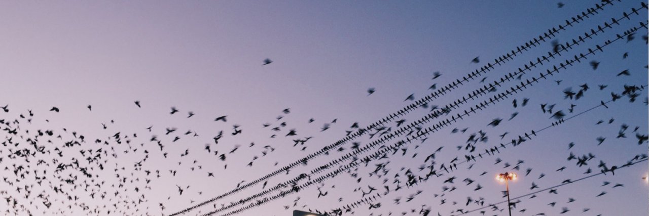 wtflidy's profile banner image