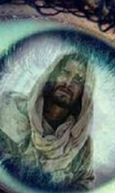 MariaJ_Suarez's profile banner image