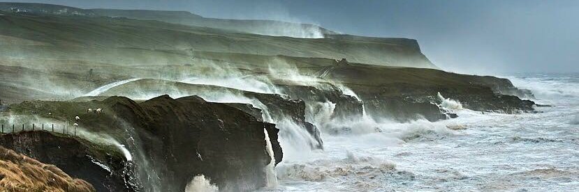 Eoin O'Callaghan banner