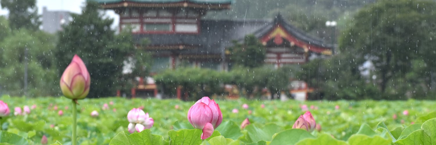 Tokyo Gov 的个人资料封面