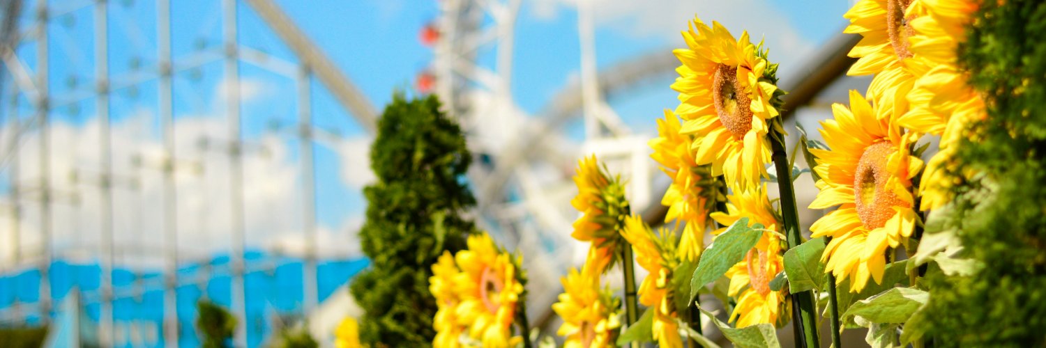 Tokyo_gov's profile banner image