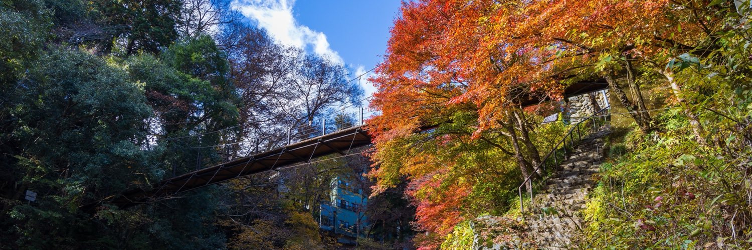 Tokyo_gov's profile banner image