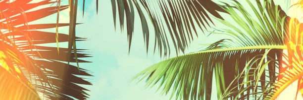 lexiherda's profile banner image