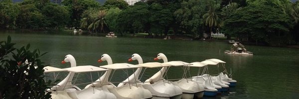 poni_hoax Profile Banner