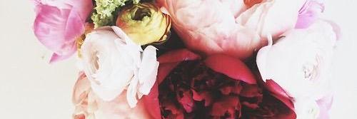 hannahJMS6's profile banner image