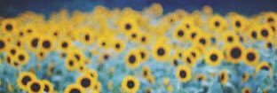 aleexmunz's profile banner image