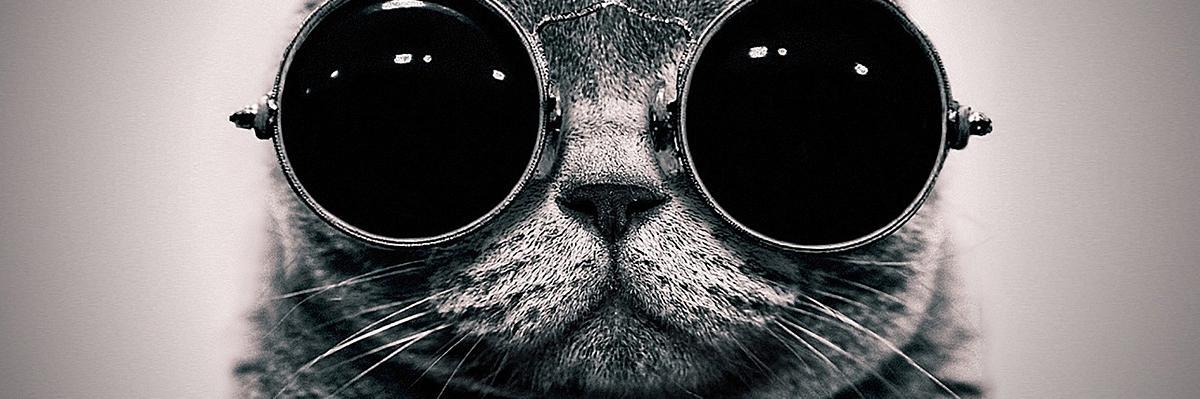 Matt_Hardeman's profile banner image