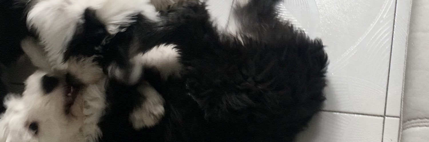 ℓαnα banner