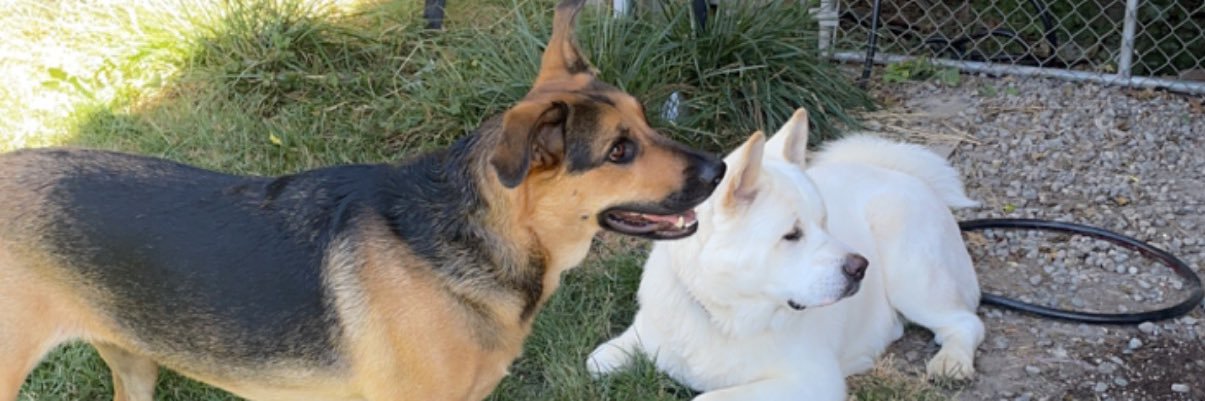 CassidyMuarie's profile banner image
