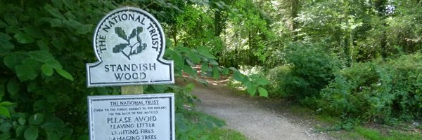 Black_Kettle Profile Banner