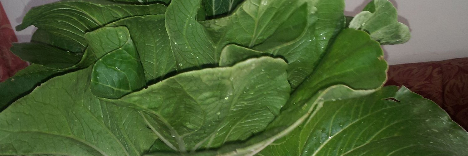 ttanny's profile banner image