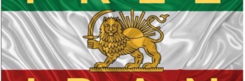 Sherri🇬🇧🇮🇱💜🤍💚🦇 banner