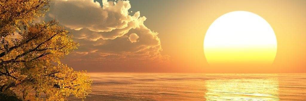 lynettelee201's profile banner image