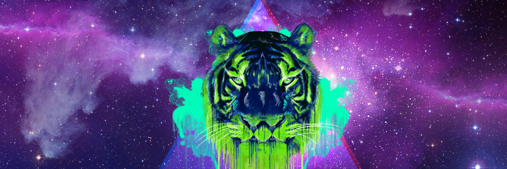fossyvega's profile banner image