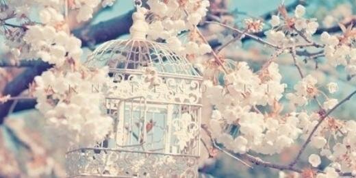 BiGirlProblems_'s profile banner image