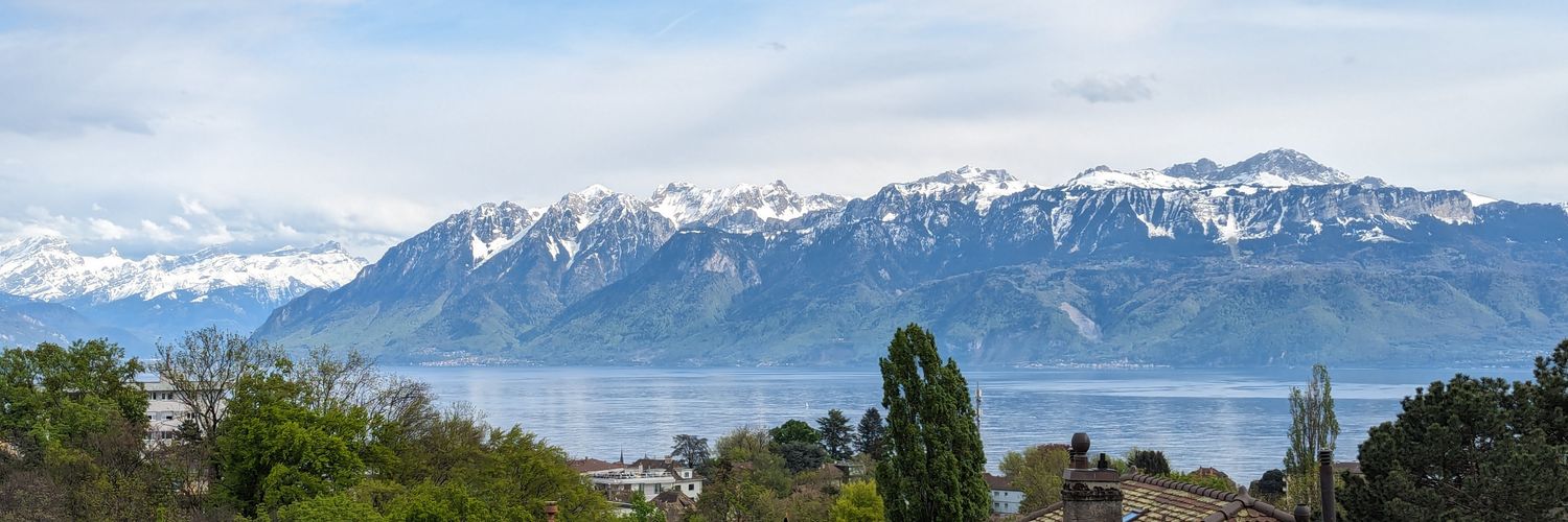 simonflandin's profile banner image