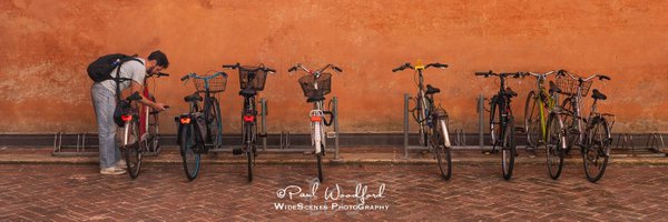 WideScenes Profile Banner