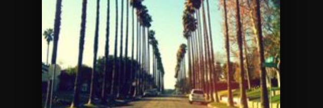 kt_frann's profile banner image