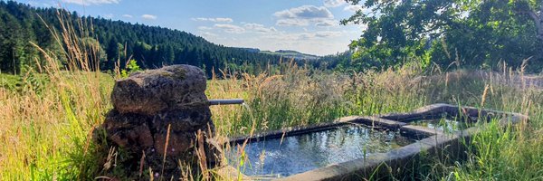 NicoBilot Profile Banner