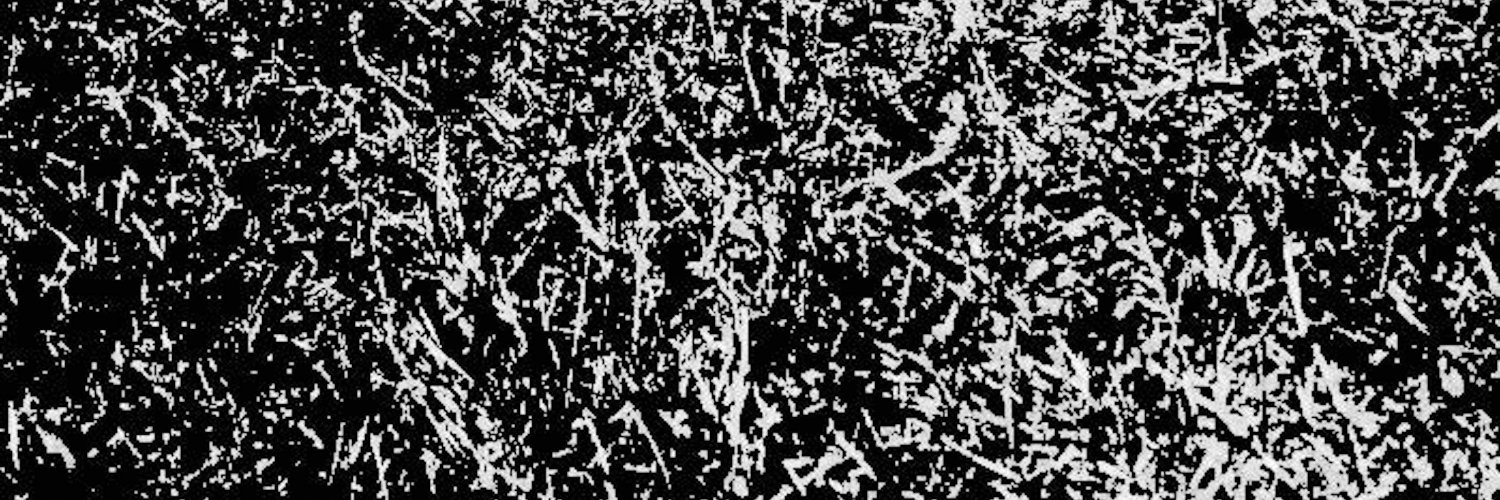 MTrecka's profile banner image