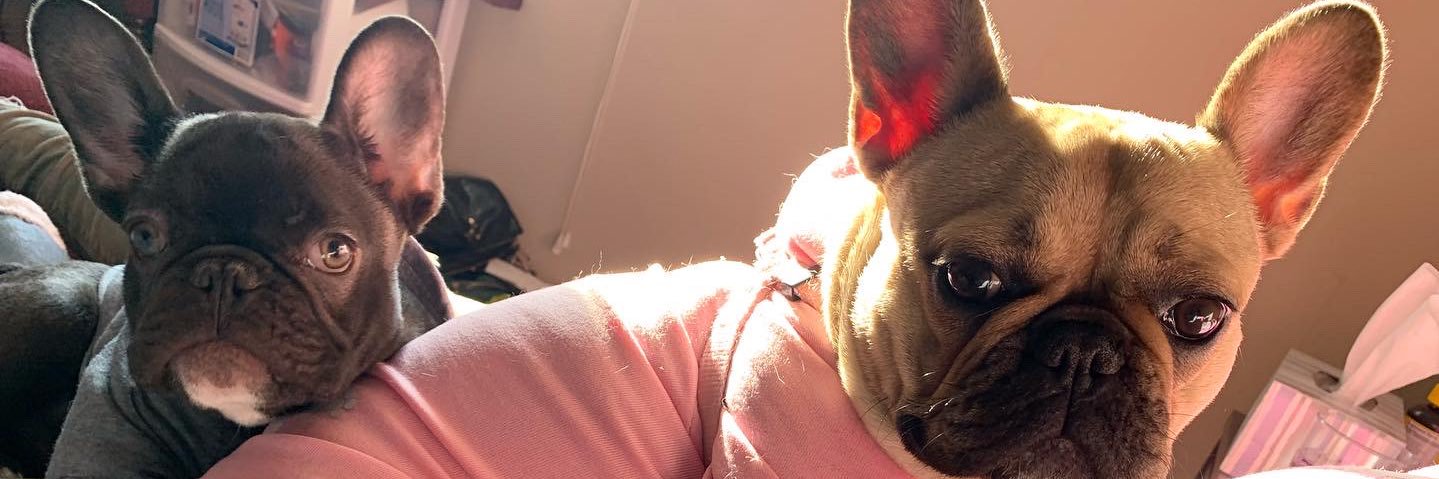 Lisaisdancing's profile banner image