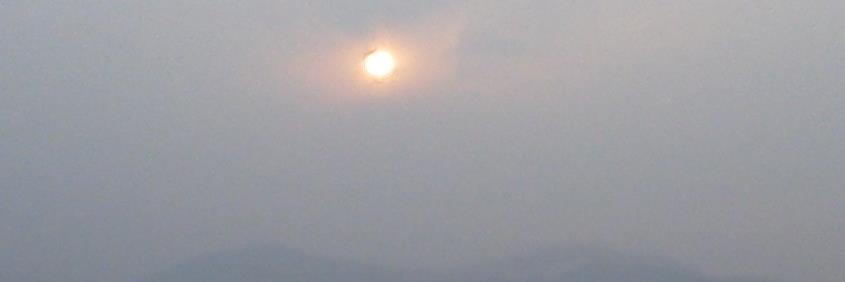 ナショナルキッド banner